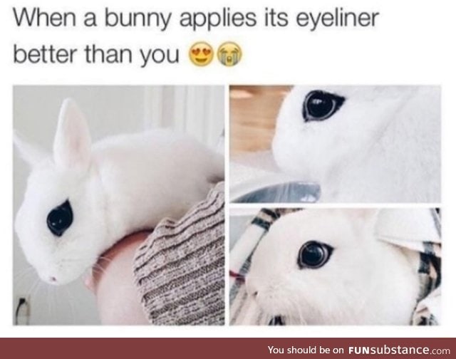 Bunny eyeliner