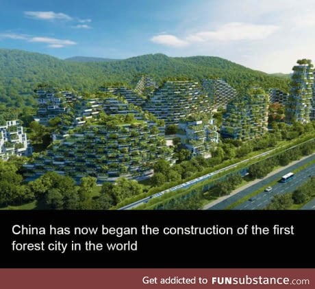 Forest city in China