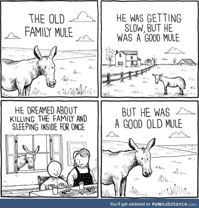 Old mule got a dream