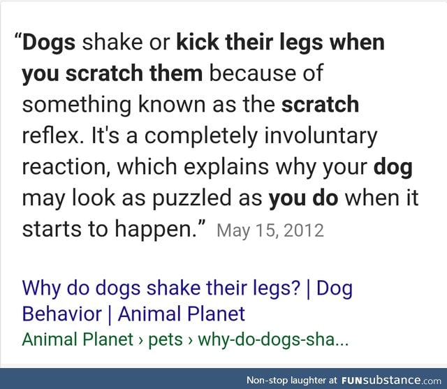 I finally know why dogs do "the thing" with their legs