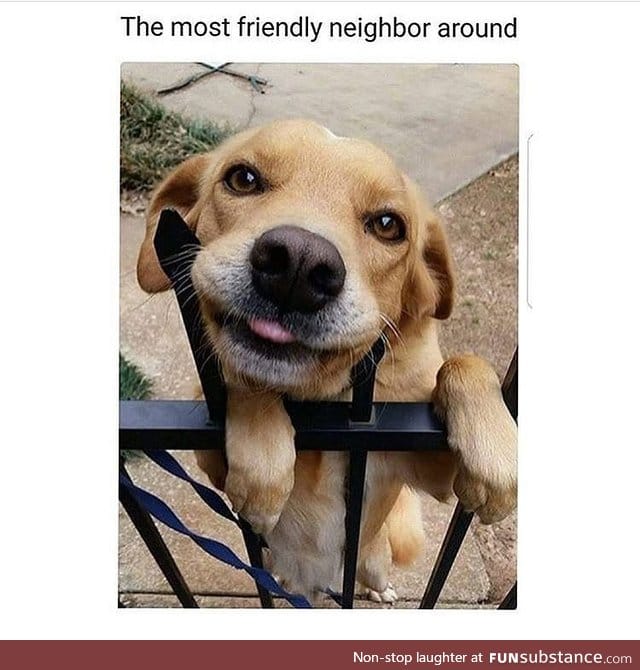 The good neighbor