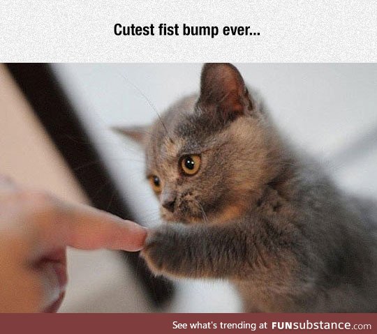 Fist bump