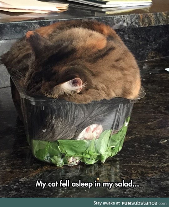Such a cozy salad