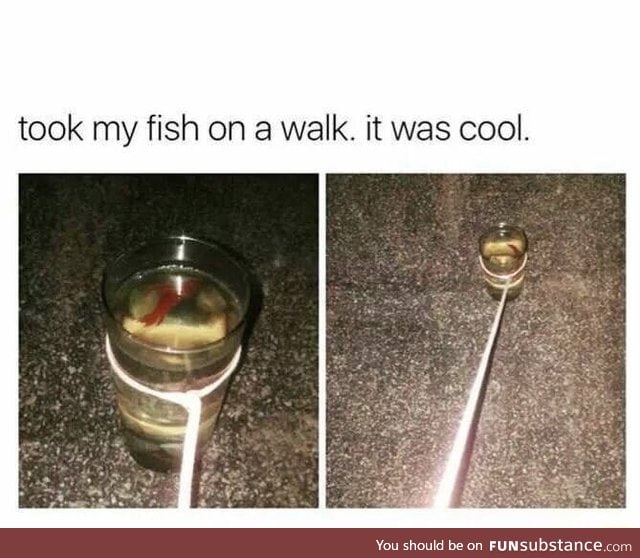 Who said you can't take a fish for a walk