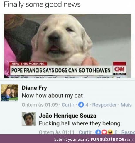 Dogs go to heaven