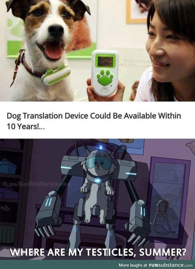 Soon you can understand your dog