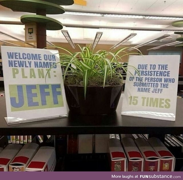 Plant named Jeff
