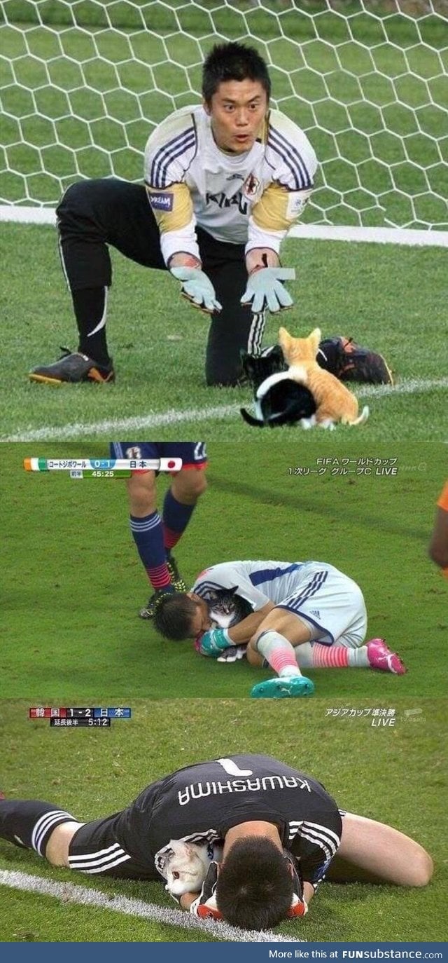 Soccer balls replaced with cats
