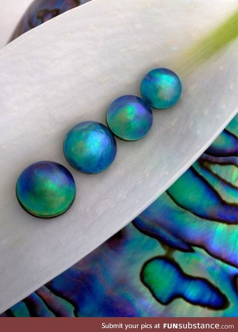 Abalone pearls