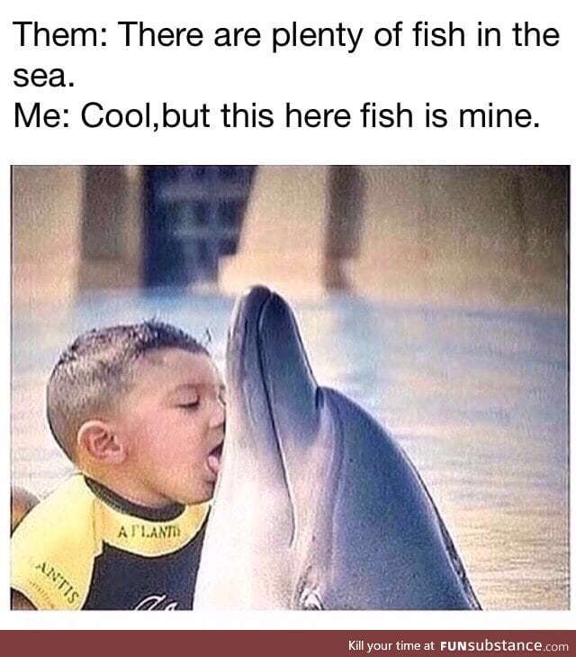 How did this dolphin seduce this boy