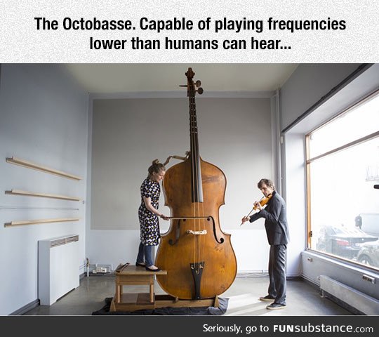 That is one big instrument