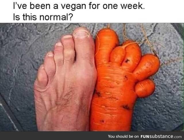 After being vegan for a week