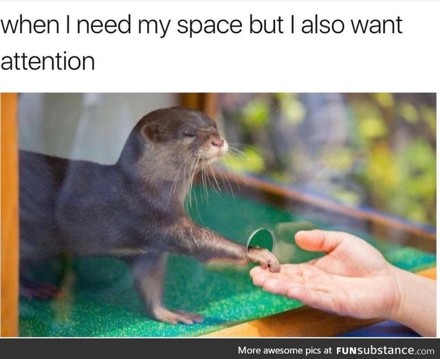 Otterly Accurate