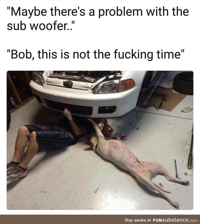 Piss off, Bob