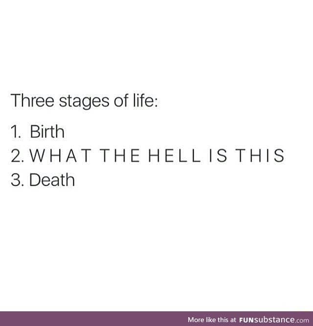 3 stages of life