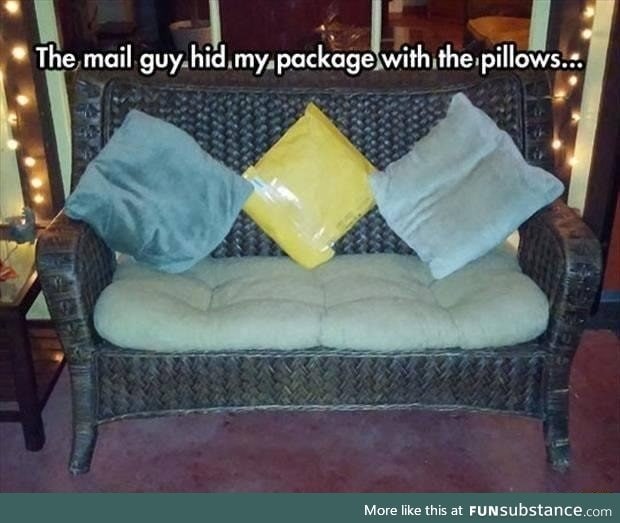 Package in disguise