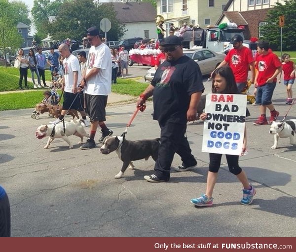 Ban bad owners not good dogs