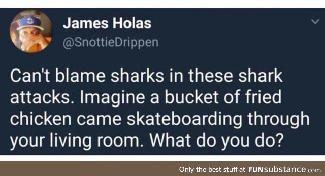 Sharks are innocent