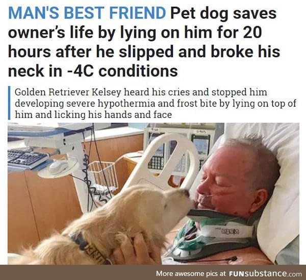 Dog saved man's life
