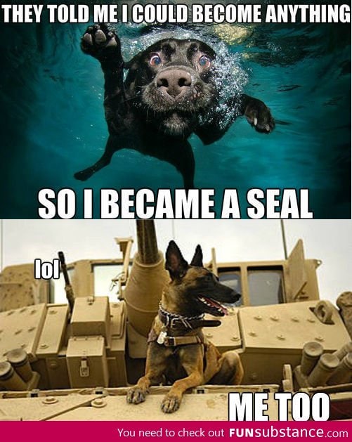 So I became a seal