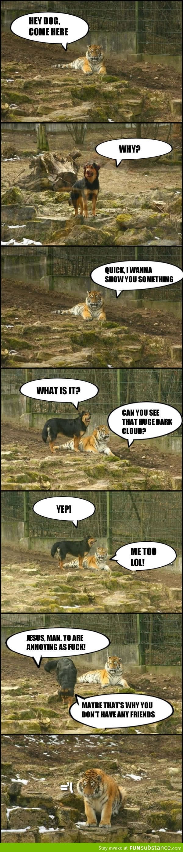 The Dog And The Tiger