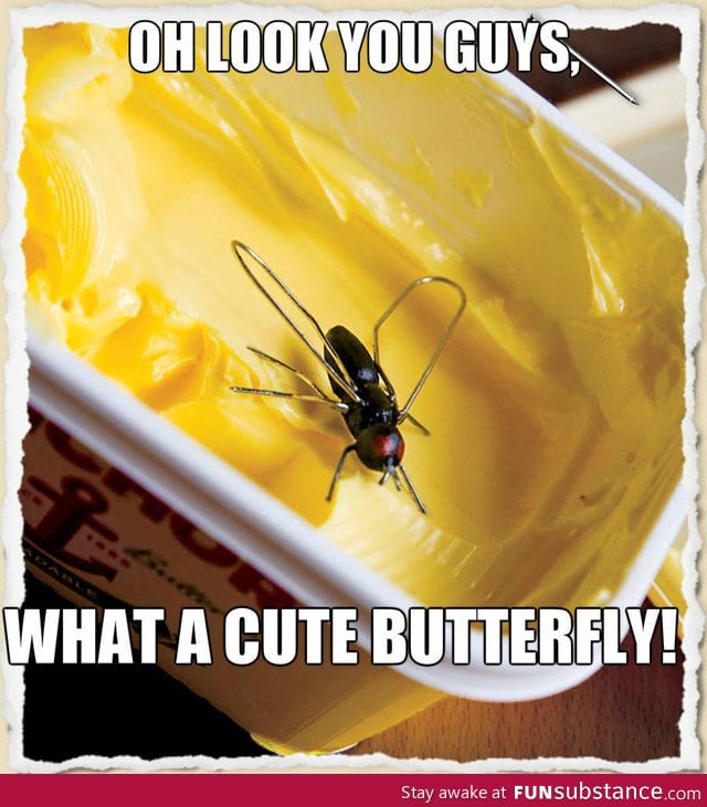 B*tterflies Are Just Adorable