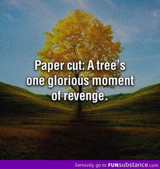 A tree's revenge