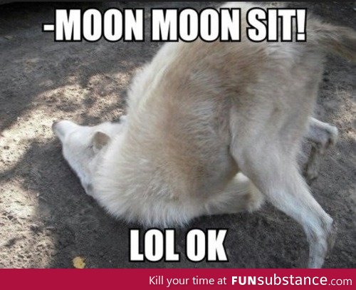 sit Moon Moon