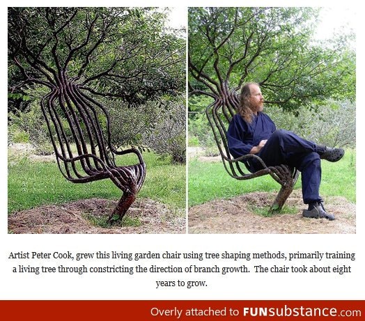 Best garden chair ever