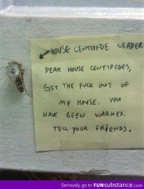 Warning to all insects
