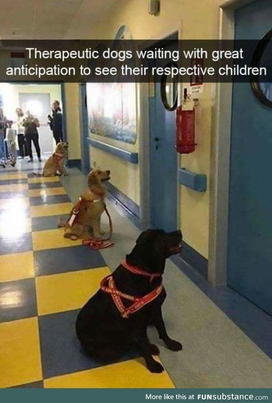 Good boys reporting for duty