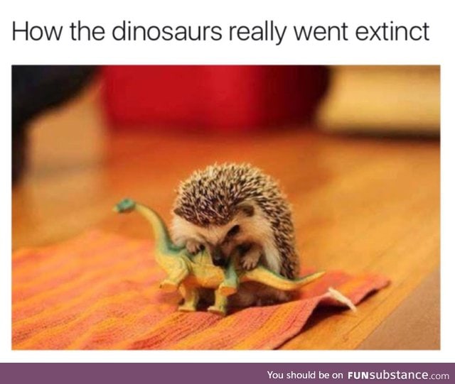 What Really Happened To the Dinosaurs