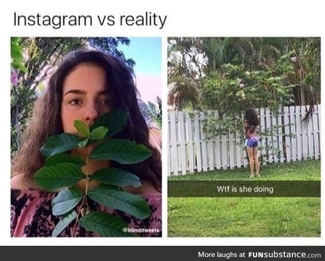 Instagram vs reality