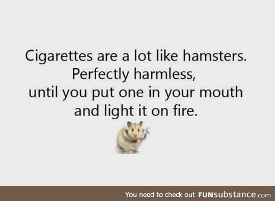 Comparing cigarettes with hamsters