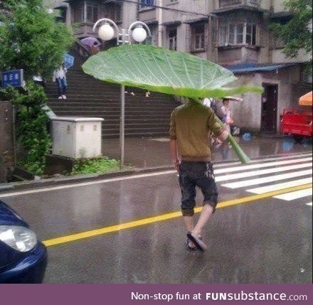 All-natural umbrellas are the best