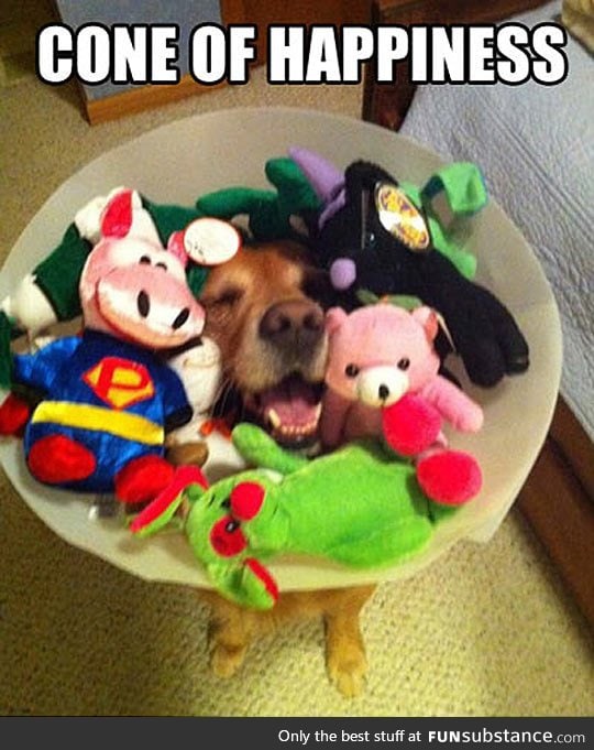 The cone that makes it all better