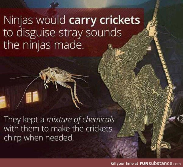 Ninjas would carry Onions too, to make you cry