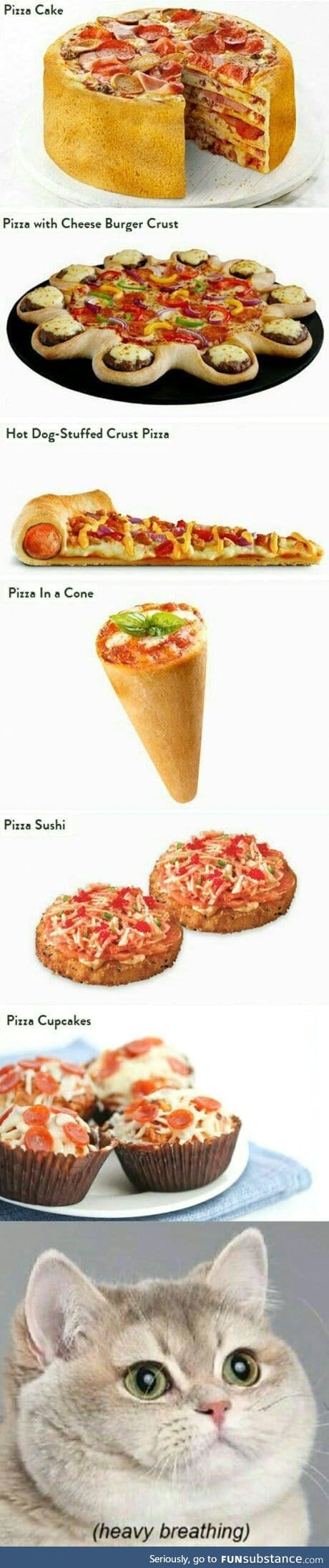 Types of Pizzas