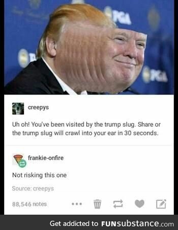 The Trump slug