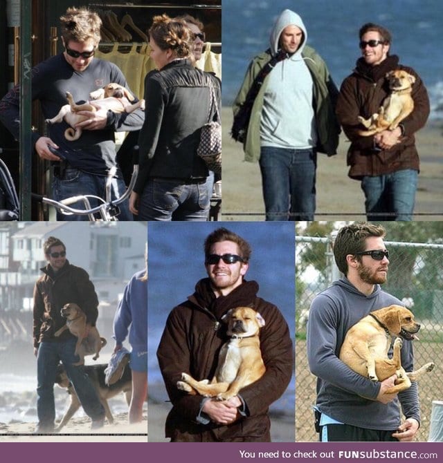 Jake Gyllenhaal incorrectly holding dogs