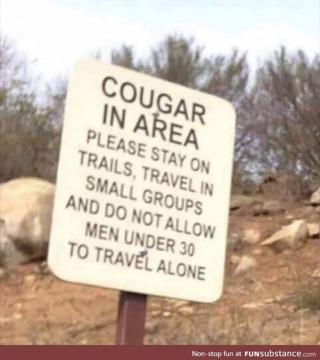 Cougar in the wild