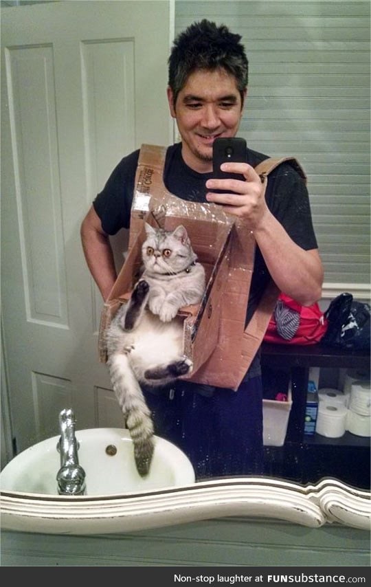 Diy cat chest harness