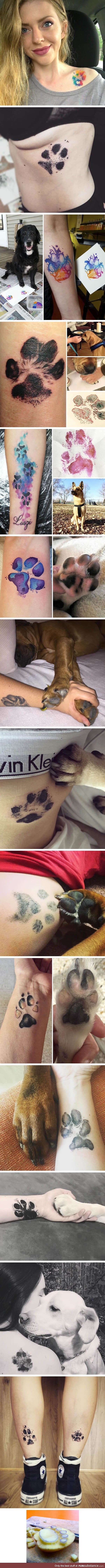 People using their dog's paw print to make tattoos and this is the most adorable