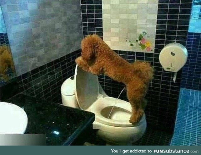 Potty trained