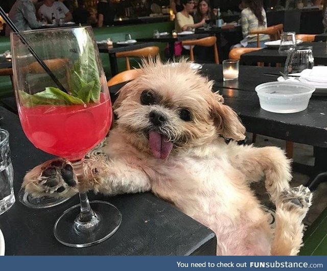 come girl, have a drink with me