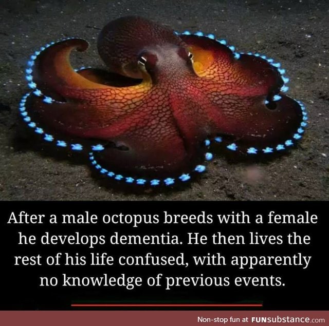 That must be some good.......Octopussy