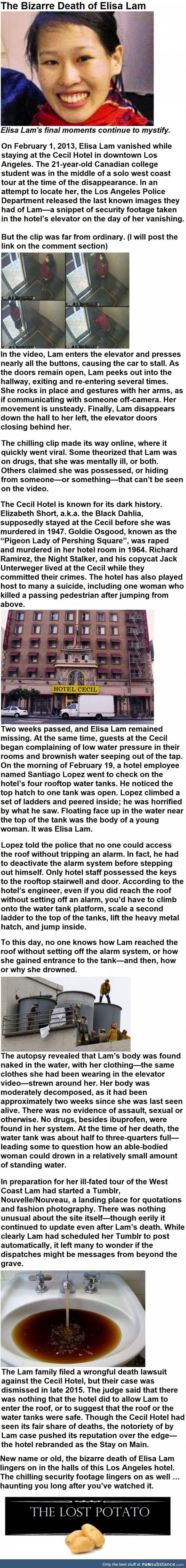 The Bizarre Death of Elisa Lam