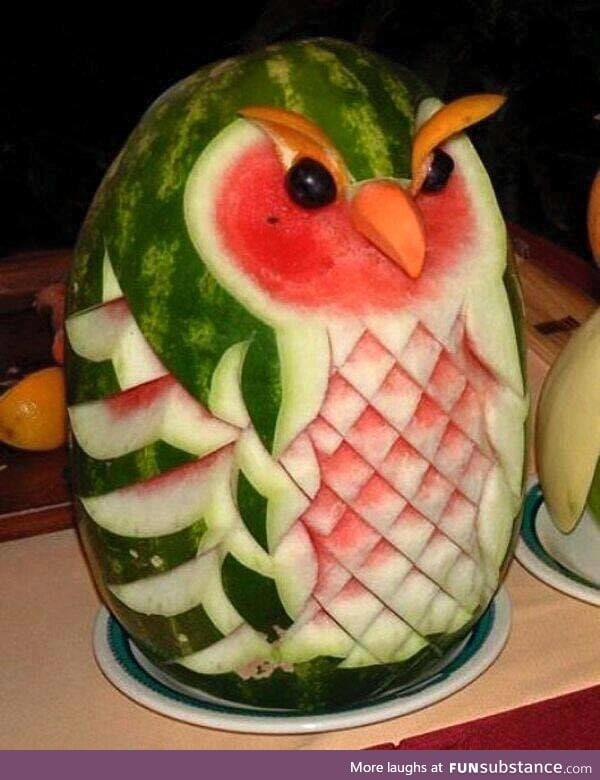 Watermelon owl