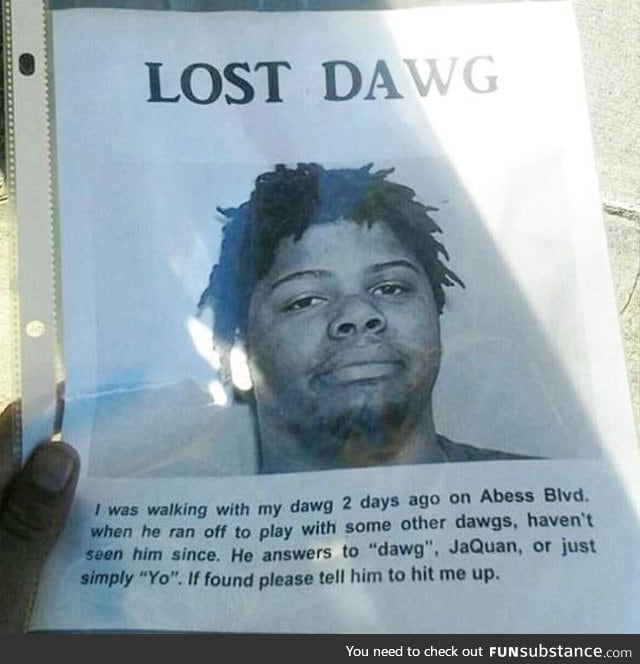 Lost my Dawg!