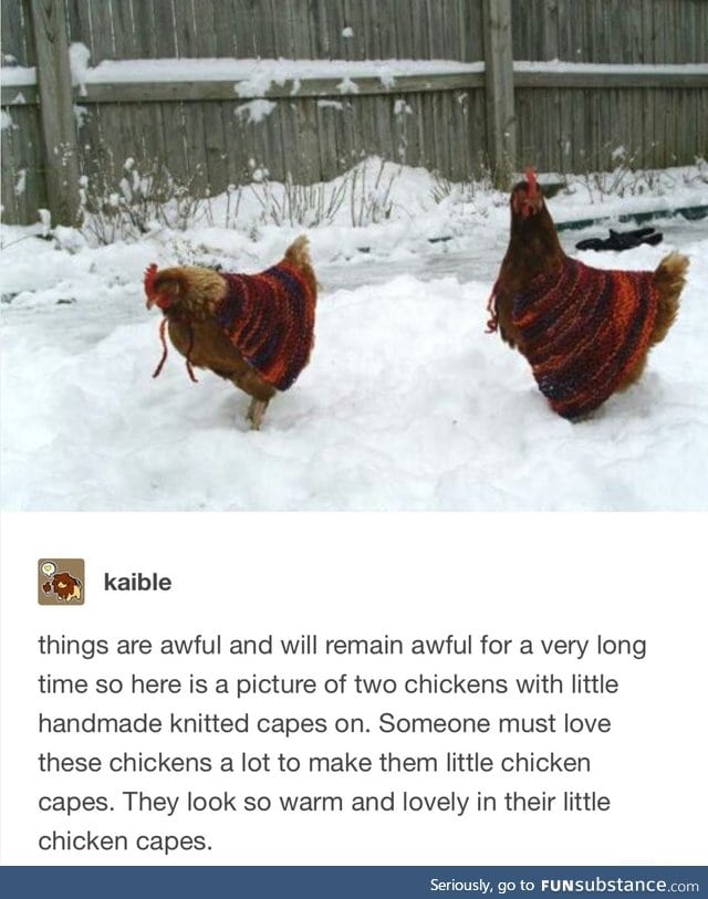 Keep your food warm